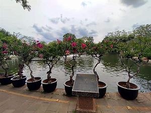 Kunming - Parc Cuihu - 15